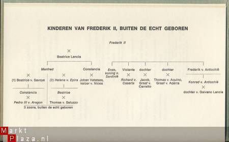 ROSE GRONON**IK, HASSO VAN BODMAN**DE CLAUWAERT*1966** - 7