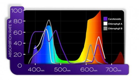 KIND L300 LED Kweeklamp (220 Watt) - 5