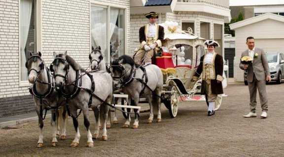 sprookjes koets te huur voor communie bruiloft gala - 2