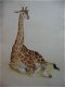 Giraffe - J.B. Wiebenga 1905-1987 - 2 - Thumbnail