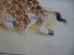 Giraffe - J.B. Wiebenga 1905-1987 - 4 - Thumbnail