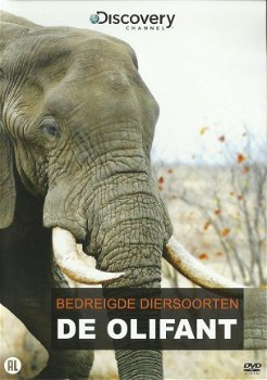 Bedreigde Diersoorten - De Olifant (DVD) Nieuw/Gesealed - 1