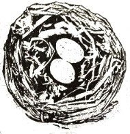 SALE Unmounted stempel Bird's Nest Bird Nest van Oxford Impressions - 1