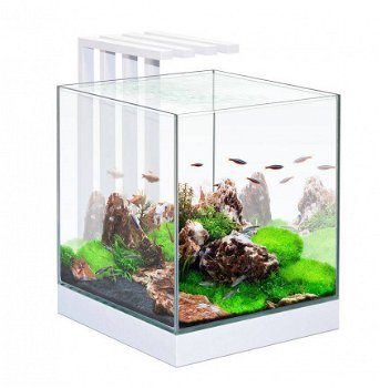 Ciano Nexus pure led 25 Nano Aquarium - 1