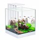 Ciano Nexus pure led 25 Nano Aquarium - 1 - Thumbnail