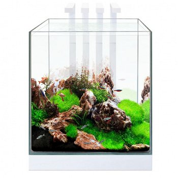 Ciano Nexus pure led 25 Nano Aquarium - 2