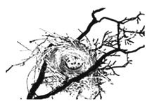 SALE NIEUW unmounted stempel Bluebird Bird Nest van Artistic Outpost