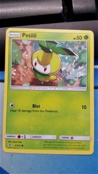 Petilil 4/145 common SM Guardians Rising - 1