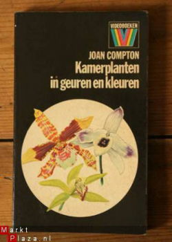 Joan Compton - Kamerplanten in geuren en kleuren - 1