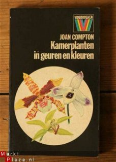 Joan Compton - Kamerplanten in geuren en kleuren