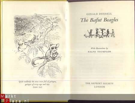 GERALD DURRELL**THE BAFUT BEAGLES**THE REPRINT SOCIETY** - 1