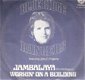 Blue Ridge Rangers [JOHN FOGARTY] -Jambalaya - vinylisngle met Fotohoes - 1 - Thumbnail