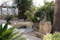 CANARIAN RUSTIC HOUSE GRANADILLA - TENERIFE - 3 - Thumbnail