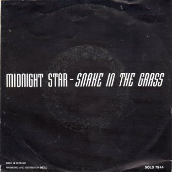 Midnight Star ‎: Snake In The Grass (1989) FUNK - 0