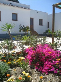 Vakantiehuis Andalusie 30 km v Malaga, kindvriendelijk - 4
