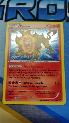 Pyroar holo 12/119 XY Phantom Forces - nr. 1