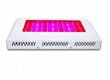 Spectrabox LED kweeklampen groeilampen voor iedere plant - 4 - Thumbnail