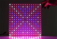 Kweekverlichting LED Groeipanelen vanaf 40 watt - 2 - Thumbnail