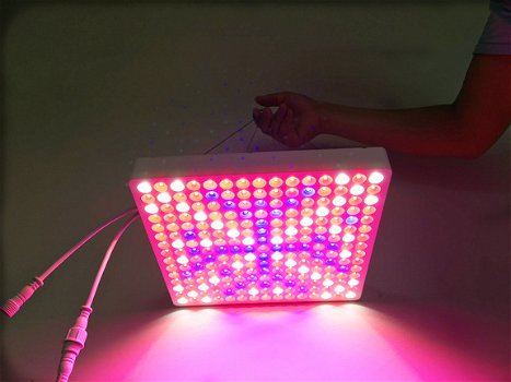Kweekverlichting LED Groeipanelen vanaf 40 watt - 3