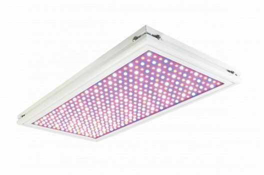 Kweekverlichting LED Groeipanelen vanaf 40 watt - 5