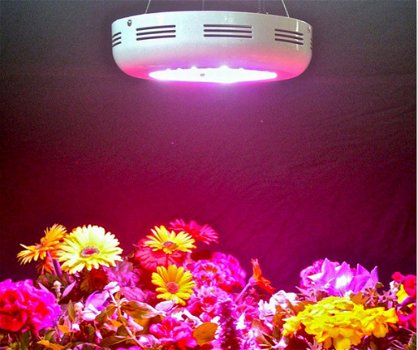 UFO LED Kweeklampen ronde groeilamp voor planten - 4
