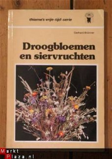 Gerhard Brünner - Droogbloemen en siervruchten