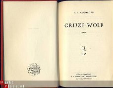 H.C. ARMSTRONG**GRIJZE WOLF**HARDCOVER IN SKYVERTEX