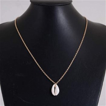 ketting met kauri schelp zilver met geluksschelp shell hanger - 1