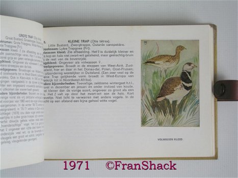 [1971] Zien is kennen !, Binsbergen, Mooij e.a., A.G. Schoonderbeek - 5