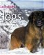 DOGS - 2 - Thumbnail