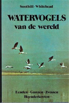 Watervogels - 1
