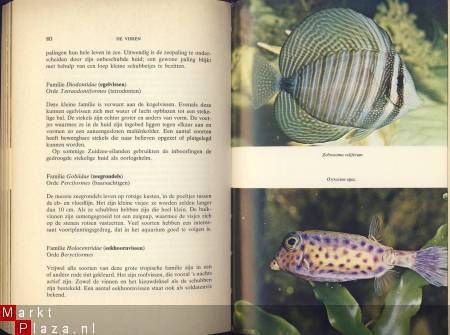 ROBERT F. O' CONNELL**HET ZOUTWATERAQUARIUM**H.J.W. BECHT - 7