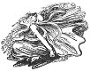 SALE NIEUW GROTE unmounted stempel Fairy On Waves van Stampinback - 1 - Thumbnail