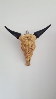 Echte gegraveerde buffel schedel, buffelschedel bewerkt - 5