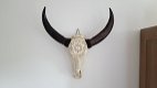Echte gegraveerde buffel schedel, buffelschedel bewerkt - 7 - Thumbnail