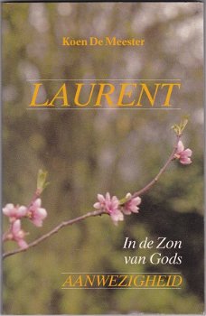 Koen de Meester: Laurent - 1