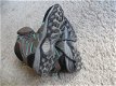 dames wandelschoenen - 3 - Thumbnail