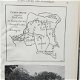 L'agriculture au Congo Belge par le Baron F. Fallon - 3 - Thumbnail