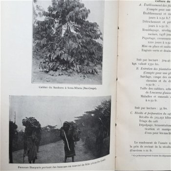 L'agriculture au Congo Belge par le Baron F. Fallon - 4