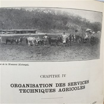 L'agriculture au Congo Belge par le Baron F. Fallon - 6