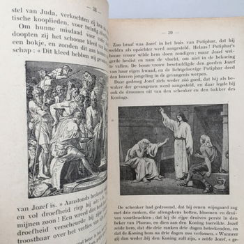 Lessen in Bijbelsche Geschiedenis voor den hoogeren graad van onze lagere scholen door D. D'Haese. - 3