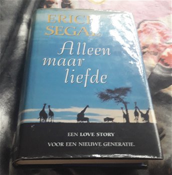 Alleen maar liefde van Erich Segal - 1