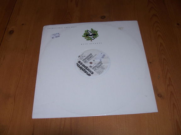 INSPIRAL CARPETS DRAGGING ME DOWN - nr. 1