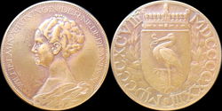 Penning Wilhelmina 1898-1923 Den Haag