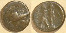 Macedonie Antigonos Gonatas (277-239 v. Chr.) SGC 6786