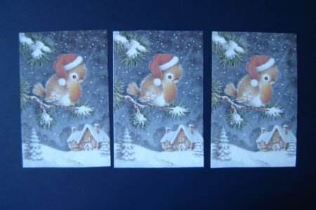 nr.76 Setje 3d plaatjes KERST VOGEL / HUISJE - 1