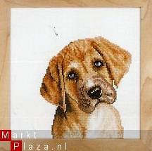 LANARTE BORDUURPAKKET IRRESISTIBLE PUPPY 35078 op=op - 1