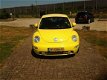 Volkswagen New Beetle - 2.0 trendtlijn airco lmv. sportv. Dit is youngtimer geen bij telling - 1 - Thumbnail