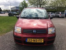 Fiat Panda - 1.2 Dynamic