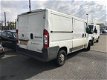 Fiat Ducato - 2.2 Multijet MH1 - 1 - Thumbnail